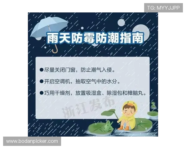 周末波胆推荐大型赛事预热防骗避坑指南